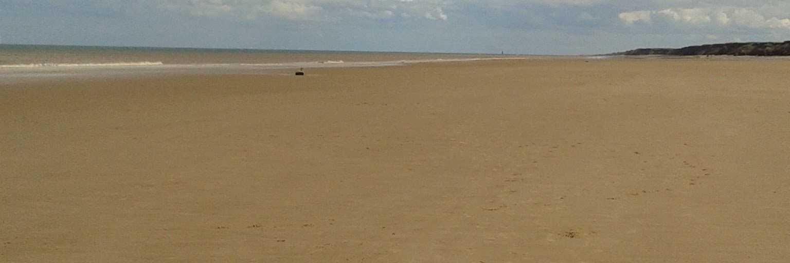 Mike Kitching banner