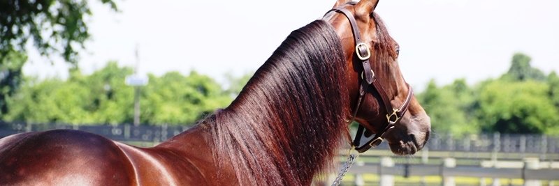 Ken Weingartner banner