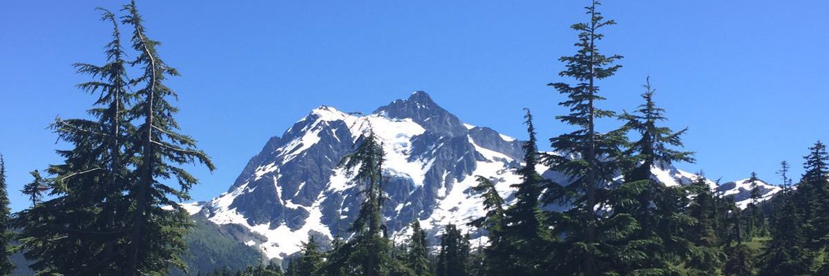 Rebel_Music13's profile banner image