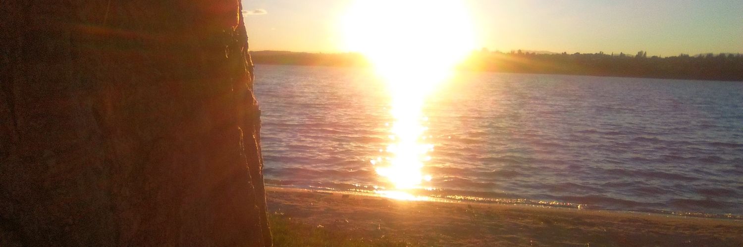 Patriziagyo's profile banner image