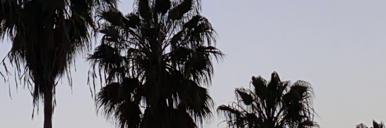 ashleybyrdy's profile banner image