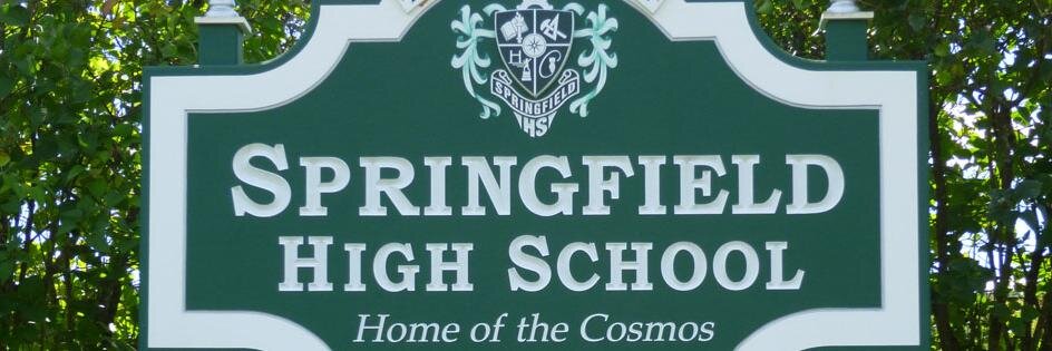 springfieldvtsd's profile banner image