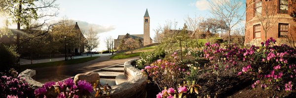 DebStayerKelly Profile Banner