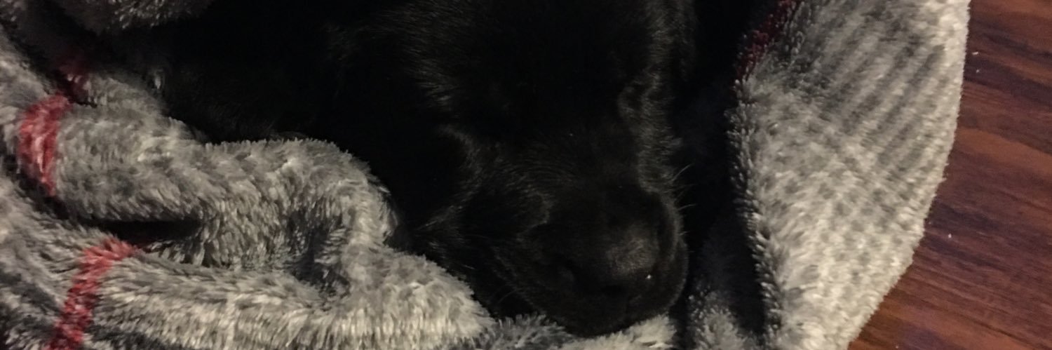 TonyfromBuffalo banner