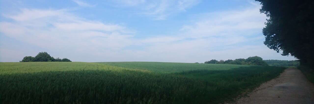 curious_reader's profile banner image