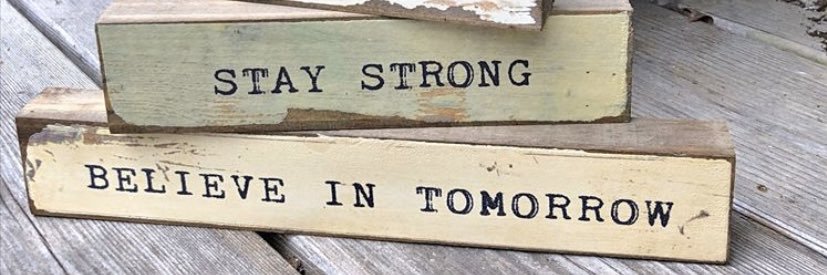 DVdZ2🇨🇦 banner