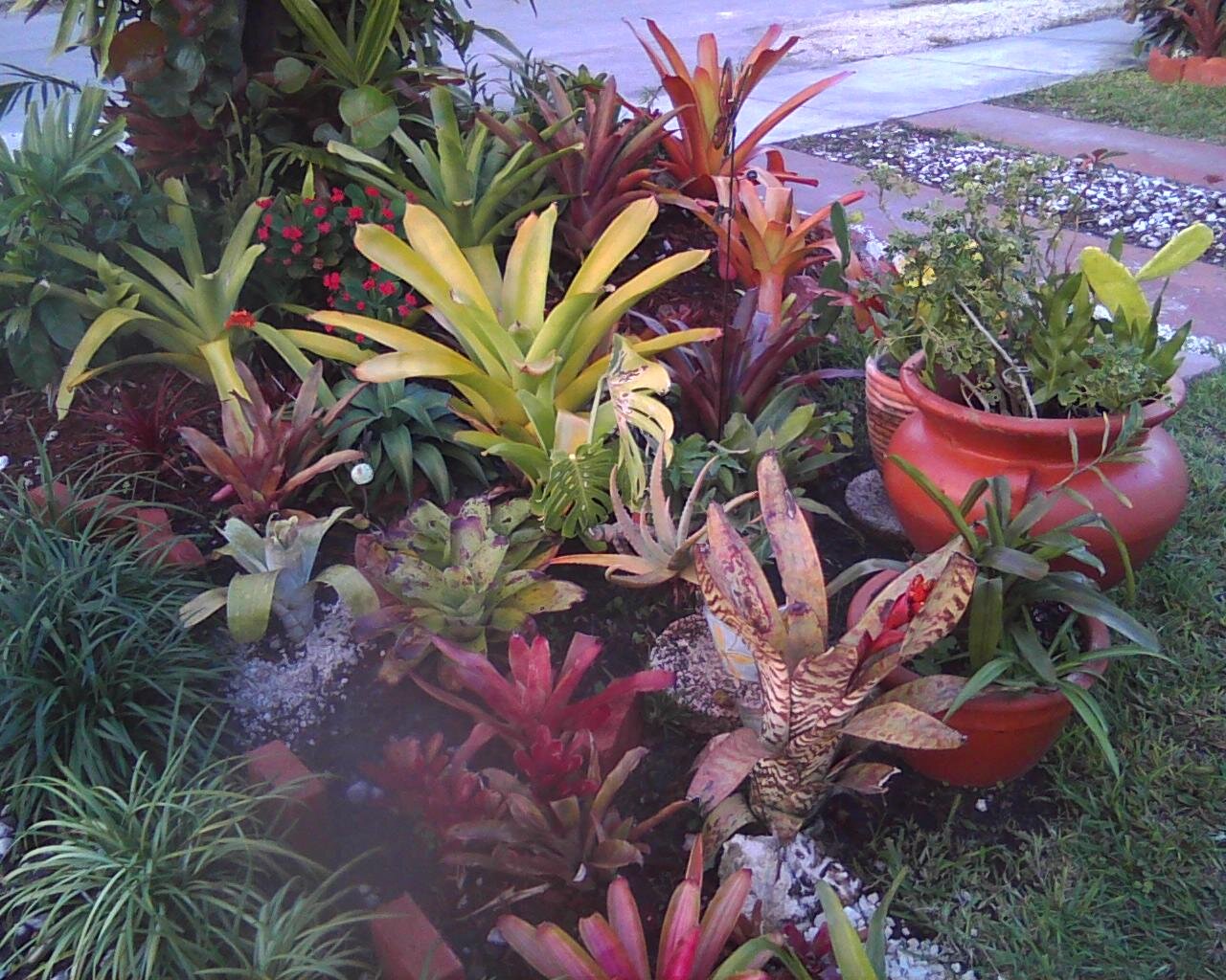 beverly31323211's profile banner image