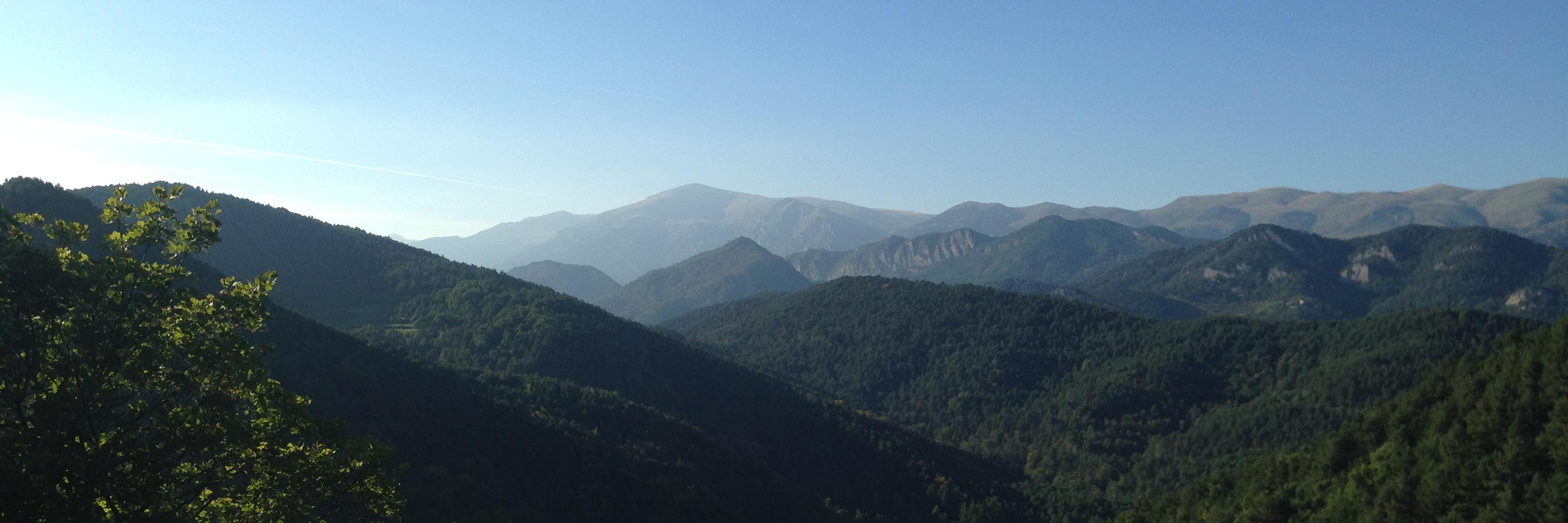 tereyca's profile banner image