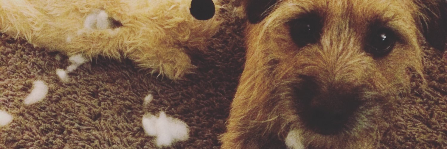 Flossieflanagan's profile banner image