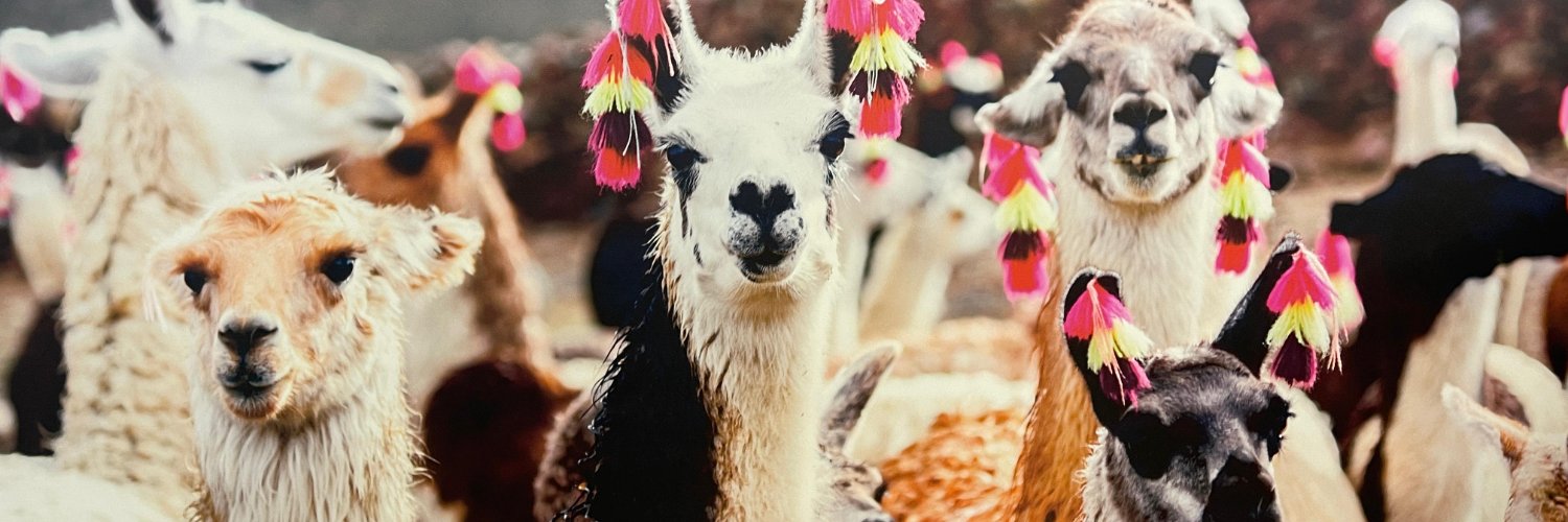 Llarry the LLama banner
