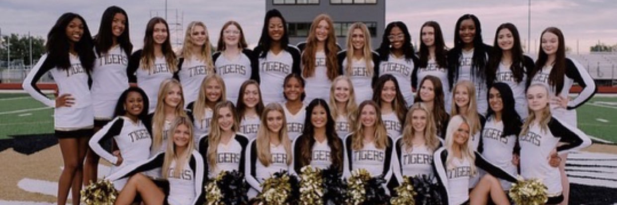 lstigercheer's profile banner image