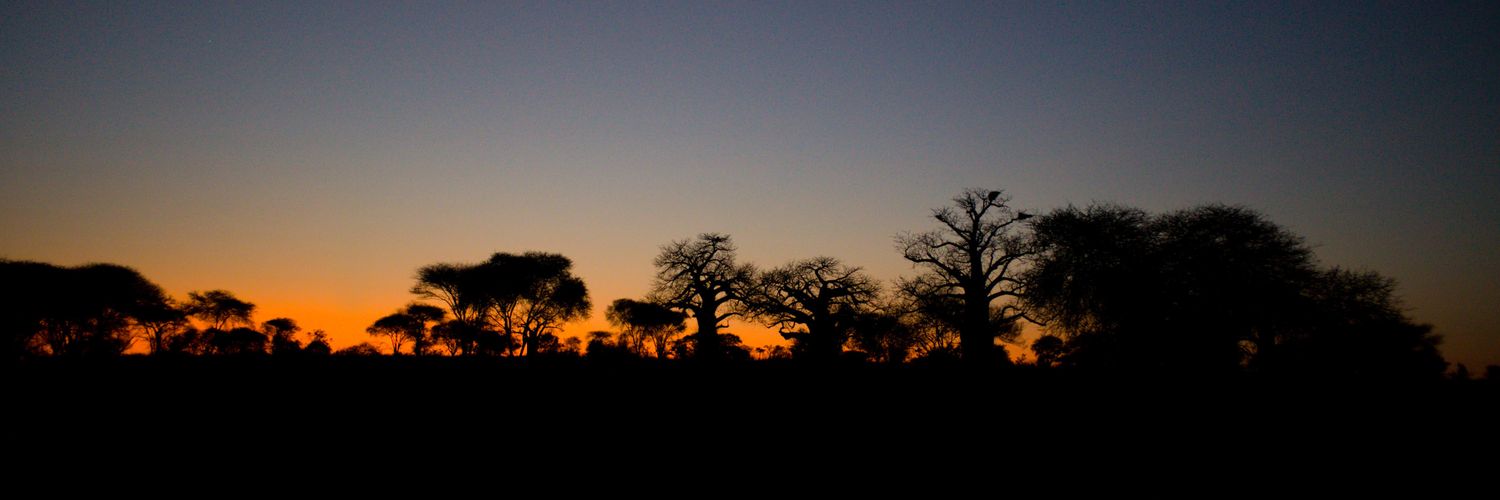 Yang Guo @hashseed@mas.to banner