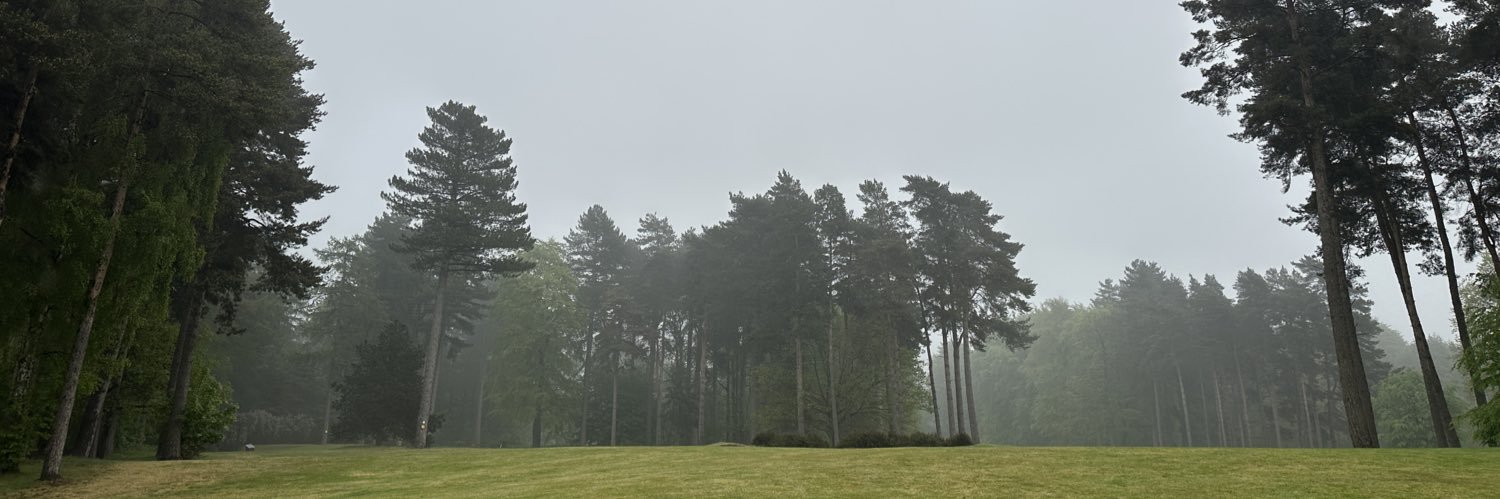 TommyGreen's profile banner image