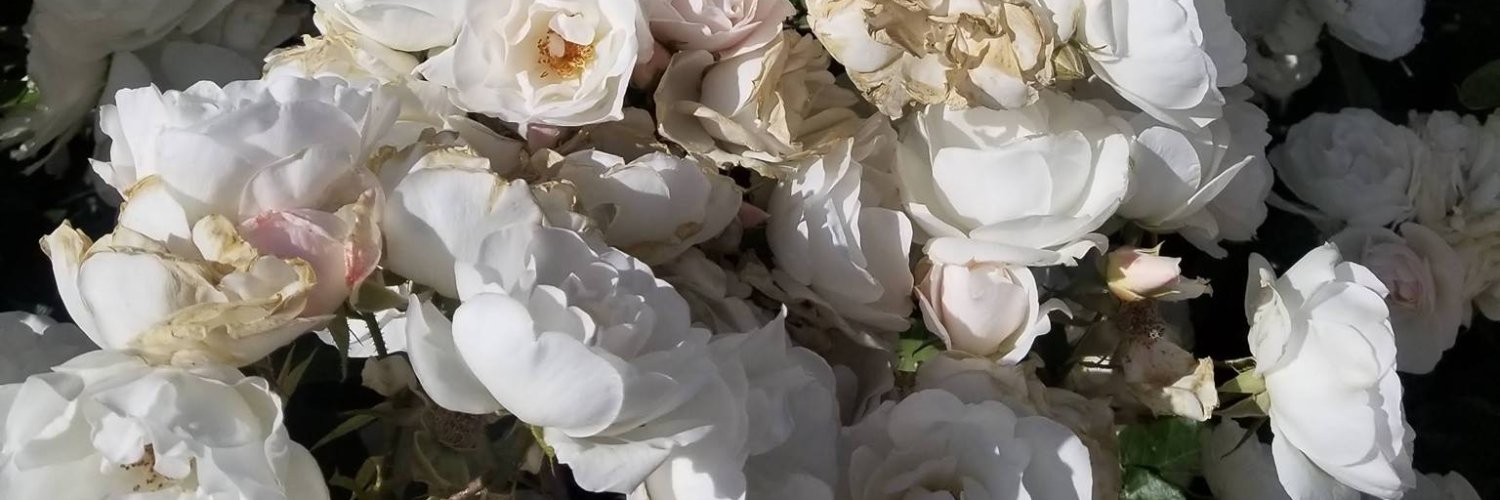 brettbralley's profile banner image