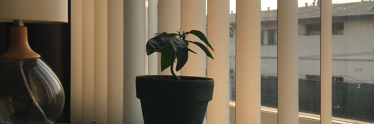 PaigeDePaepe's profile banner image