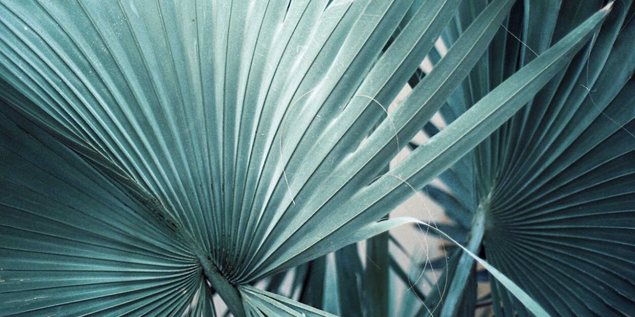 RumHysteriaa's profile banner image