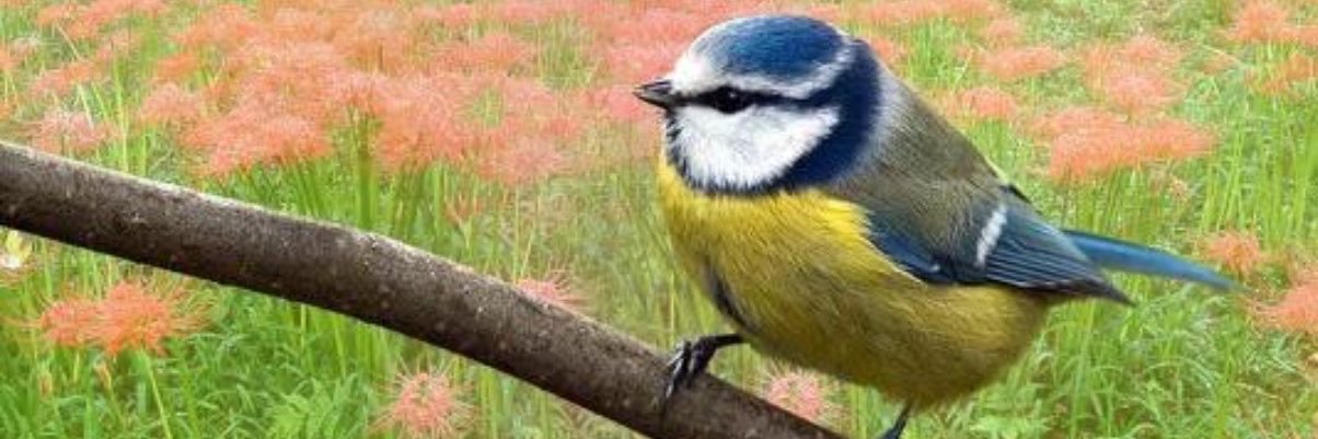 Fbefe476's profile banner image