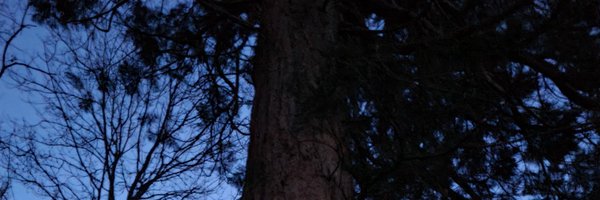 Inventingfanneh Profile Banner