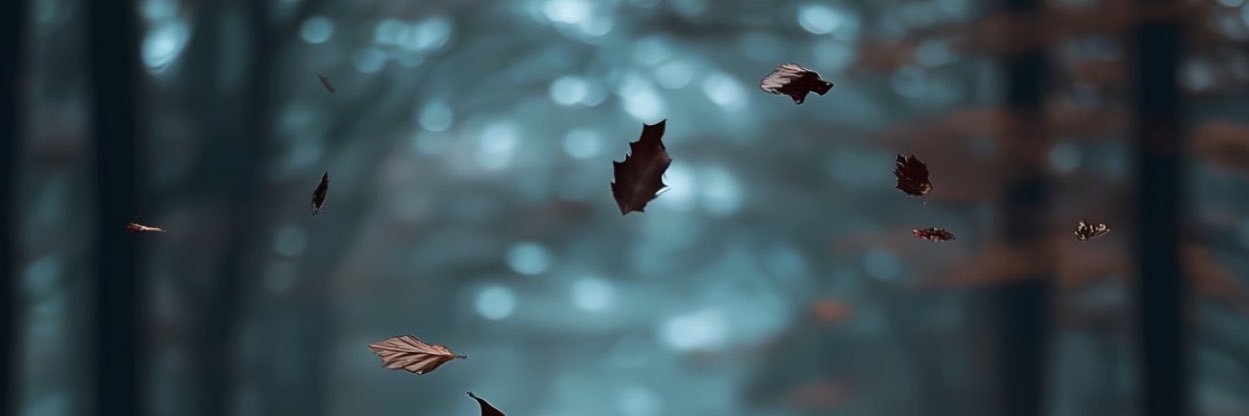 DaVuesOwn's profile banner image