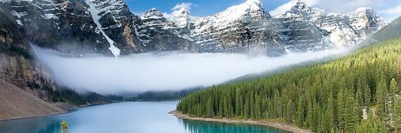 Alfredo Kinbaum banner