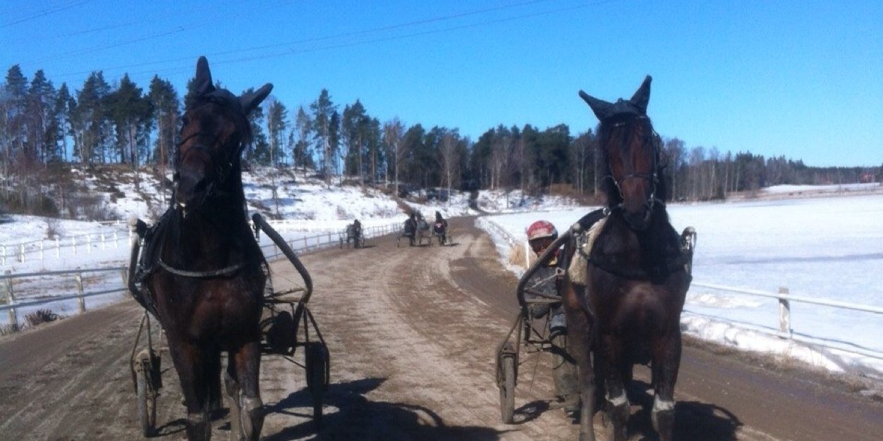 Fredrik B Larsson banner