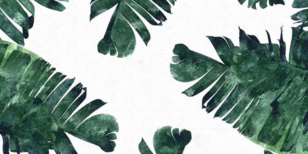 Catarina_Butler's profile banner image