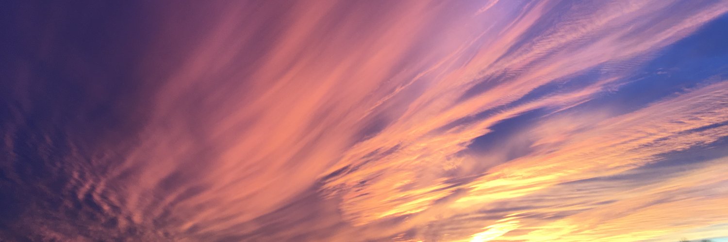 JulieAMalone's profile banner image