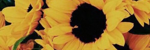 Tanyaka11's profile banner image