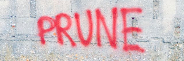 prunipruni's profile banner image