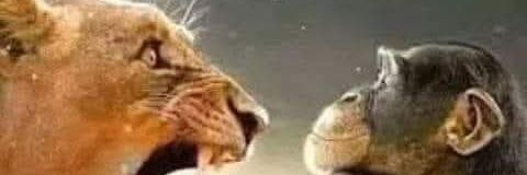 aliciafurst's profile banner image