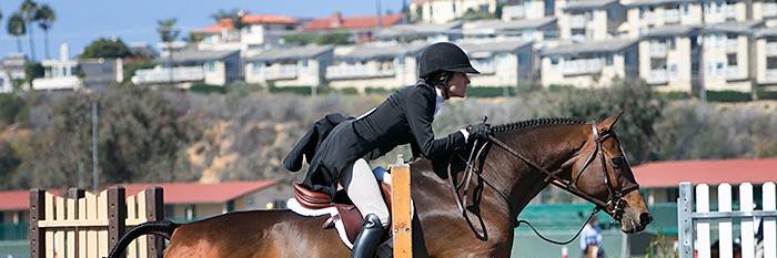 Melissa Johnsen banner