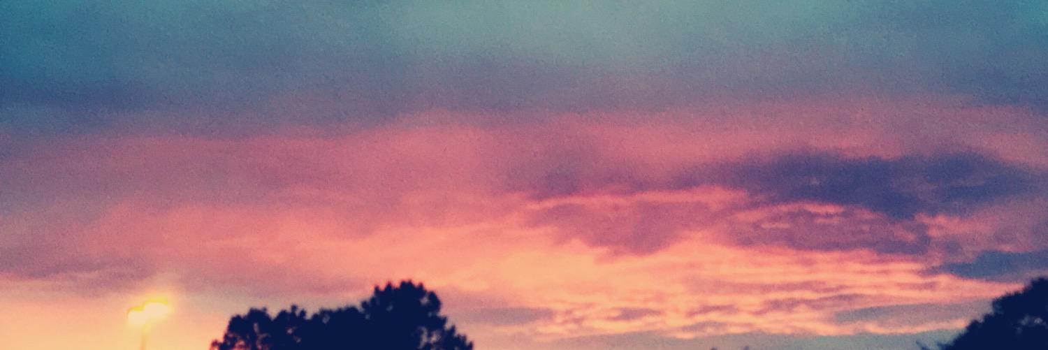 view_files's profile banner image