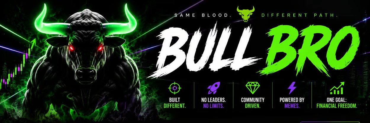 bullbro_sol's profile banner image