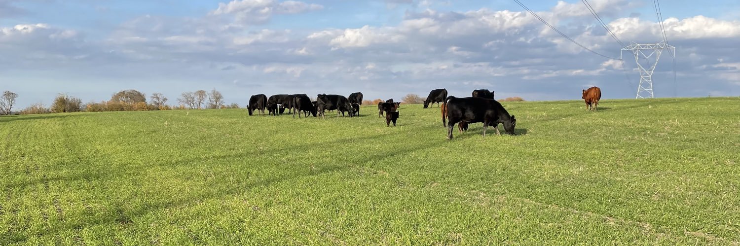 Clint Rutledge banner