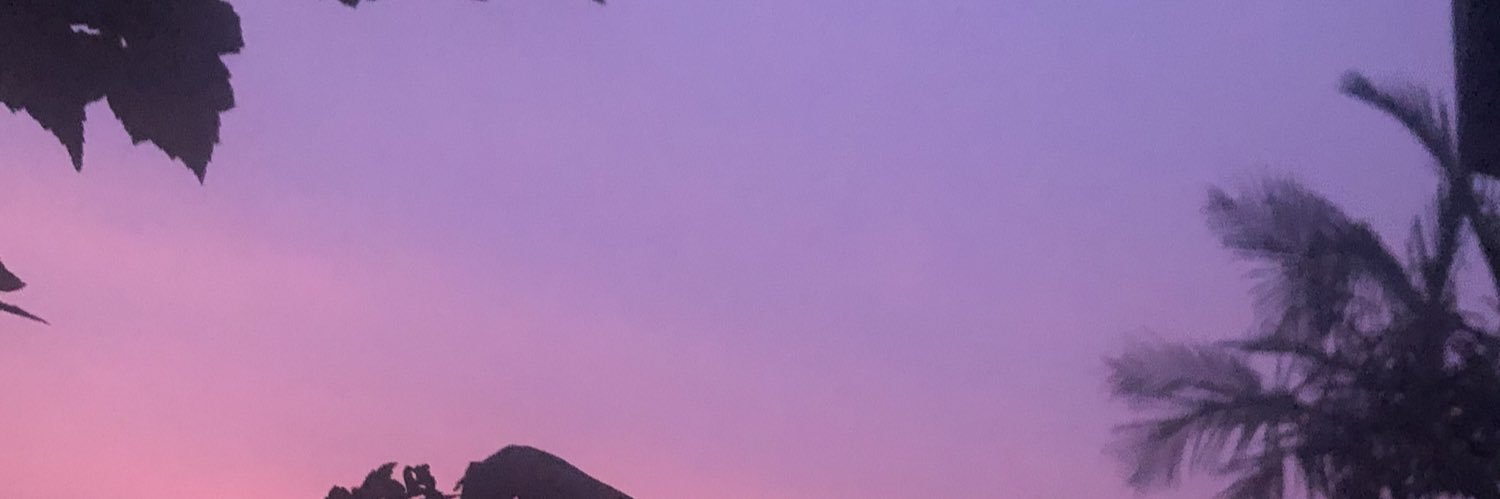 Alli_Harding's profile banner image