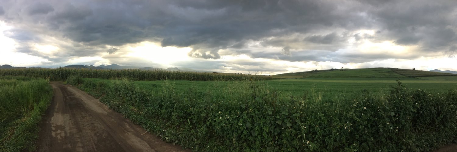 IvoonneGarces's profile banner image