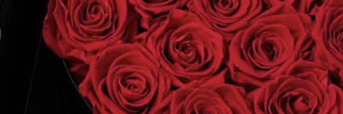 Marlenic_'s profile banner image