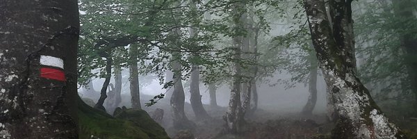 eagirre Profile Banner