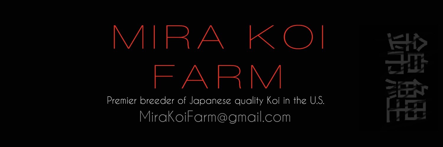 MiraKoiFarm's profile banner image