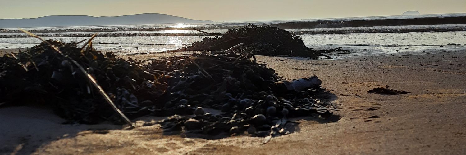 Danbo74's profile banner image