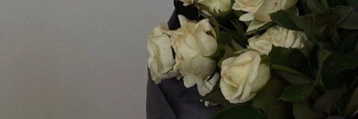 tamiramirez13's profile banner image