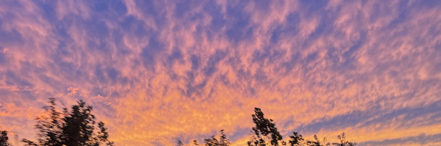 LoElizabeth_'s profile banner image
