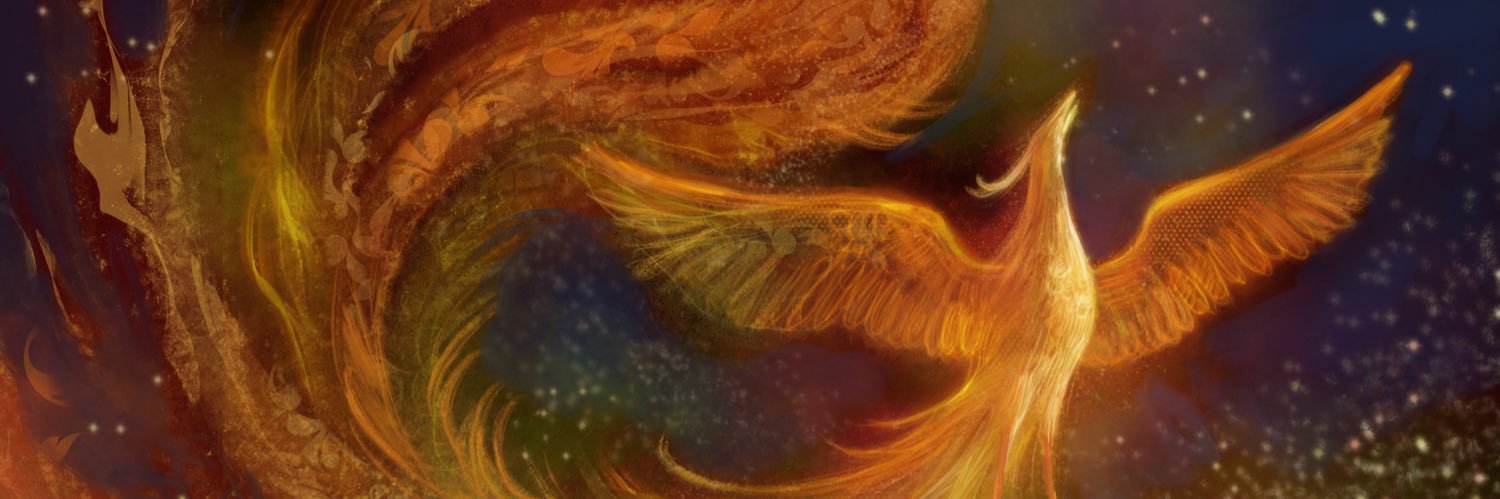 Sunny Feng Han banner
