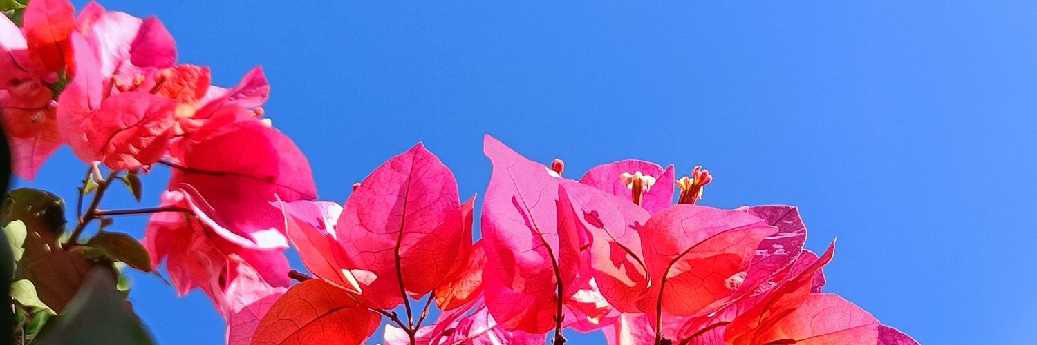 desiigs's profile banner image
