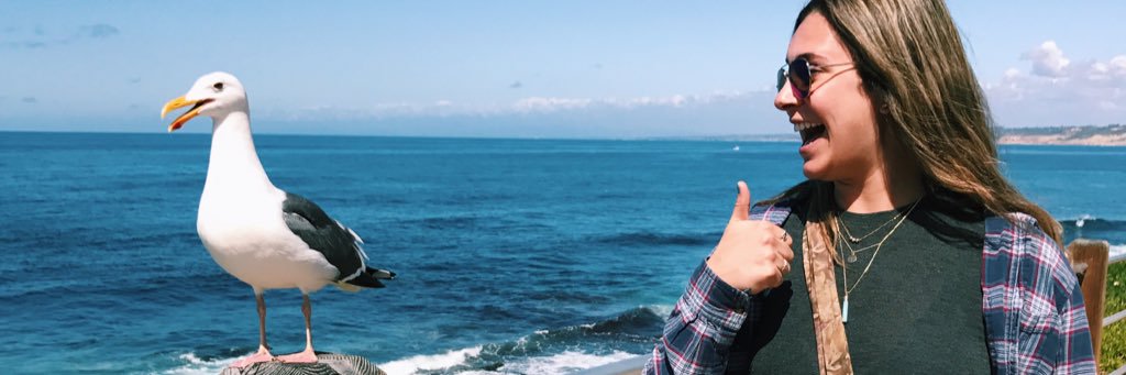 lexierickson12's profile banner image