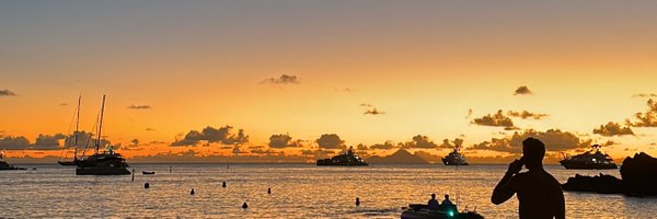 CarolinaSamani Profile Banner