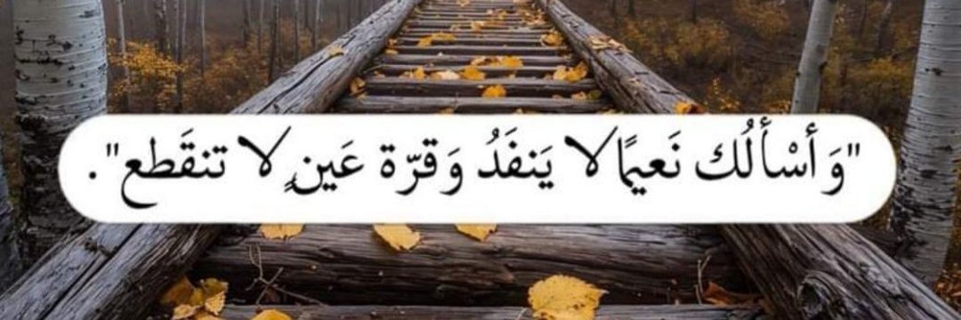 قطعة سگر 🪡 banner