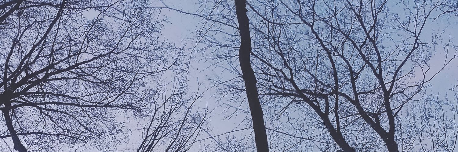 Rivah28's profile banner image