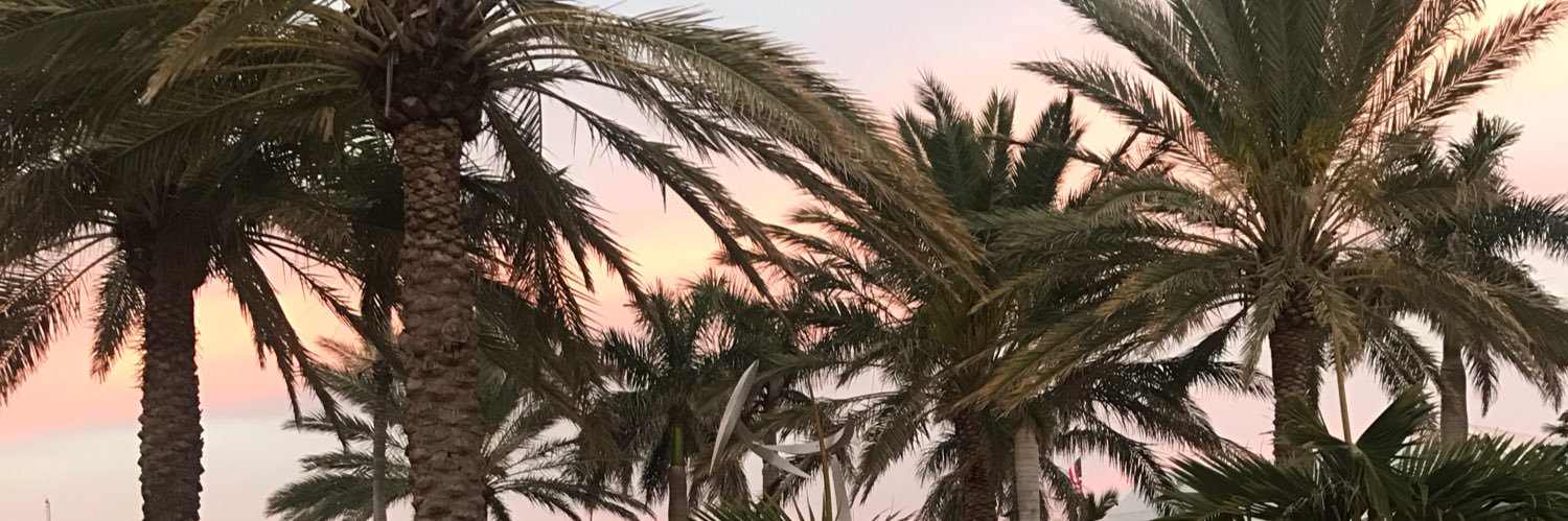 stephshenouds's profile banner image
