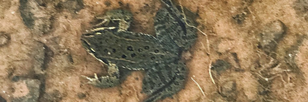 mkcrider24's profile banner image